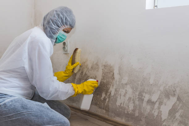 Best Crawl Space Mold Removal  in Lake Placid, NY