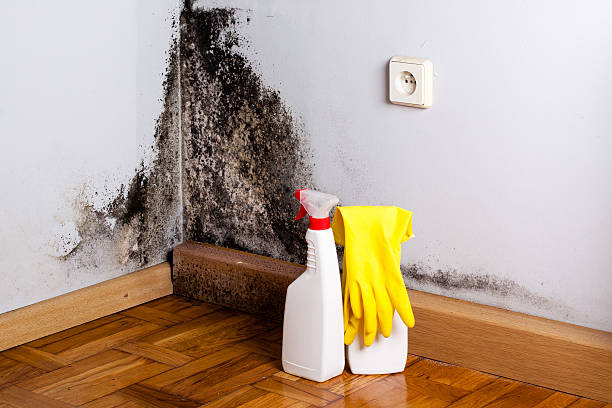 Water Damage Restoration in Lake Placid, NY